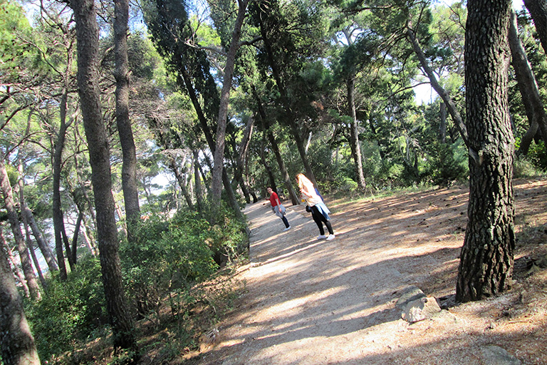 Corporate group solving puzzles during treasure hunt