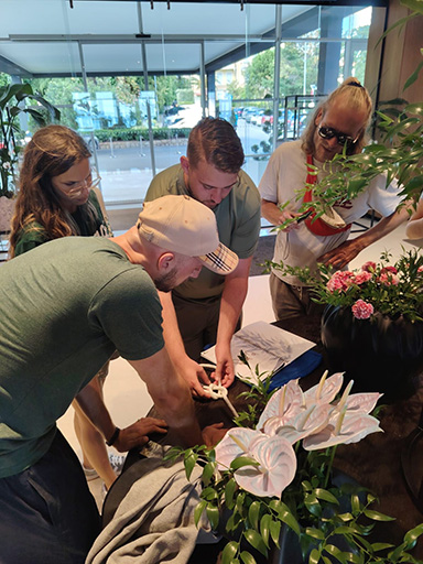 Corporate group solving riddles during Zadar Challenge